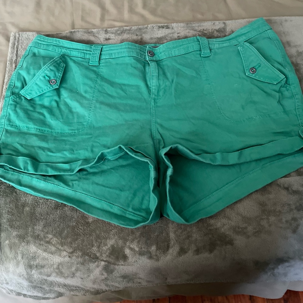 Size 28 shorts from Torrid.